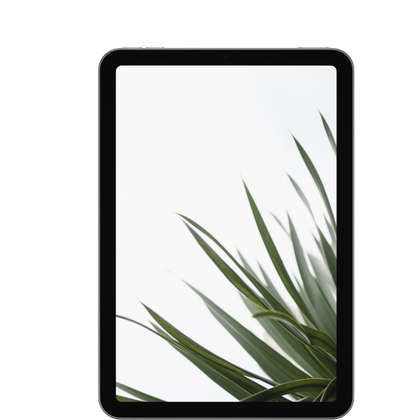 iPad